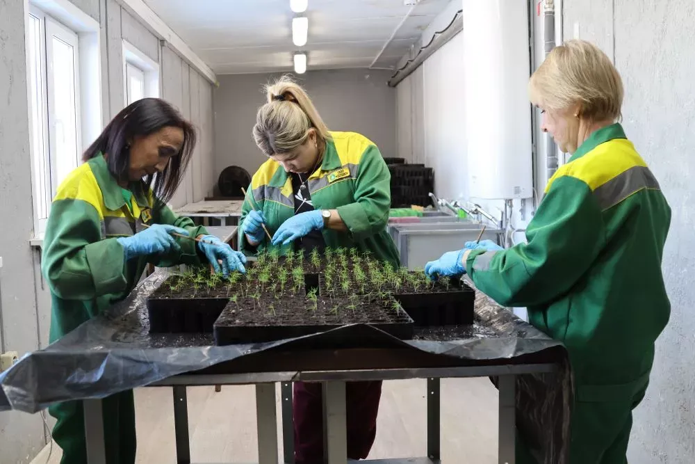 Правительство ЕАО активно поддерживает малый и средний бизнес