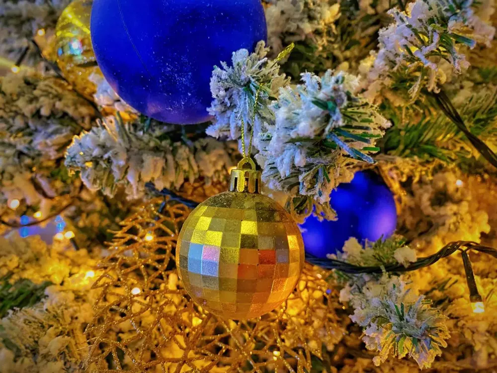 Навлекает беду на весь год: не вздумайте ставить елку в этот день декабря