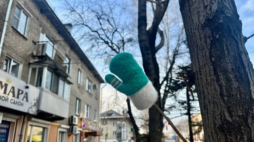 В ДТП на стоянке пострадала 15-летняя девочка в Биробиджане