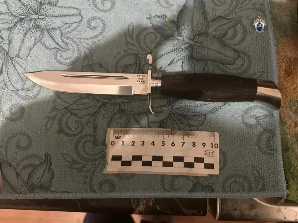 Возбуждено дело о смертельном ударе молотком во время бытовой ссоры в ЕАО