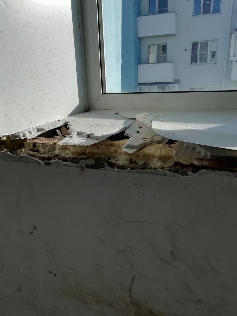 Новое жильё в аварийное: вандалы из Биробиджана портят общедомовое имущество