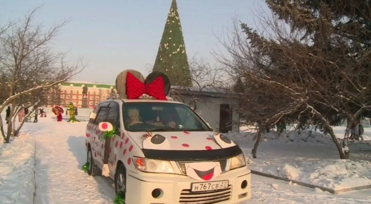 Около 40 тысяч рублей на лечение юной Вики "собрала"  автомышка из Биробиджана