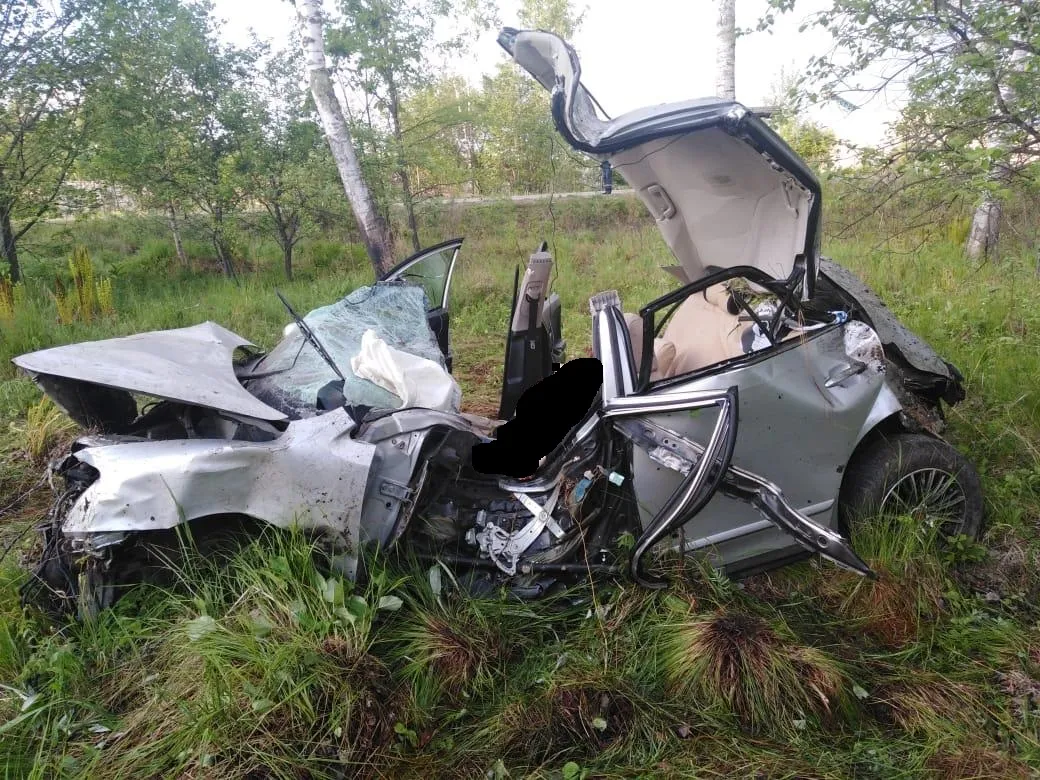 Два человека погибли в ДТП на трассе в ЕАО