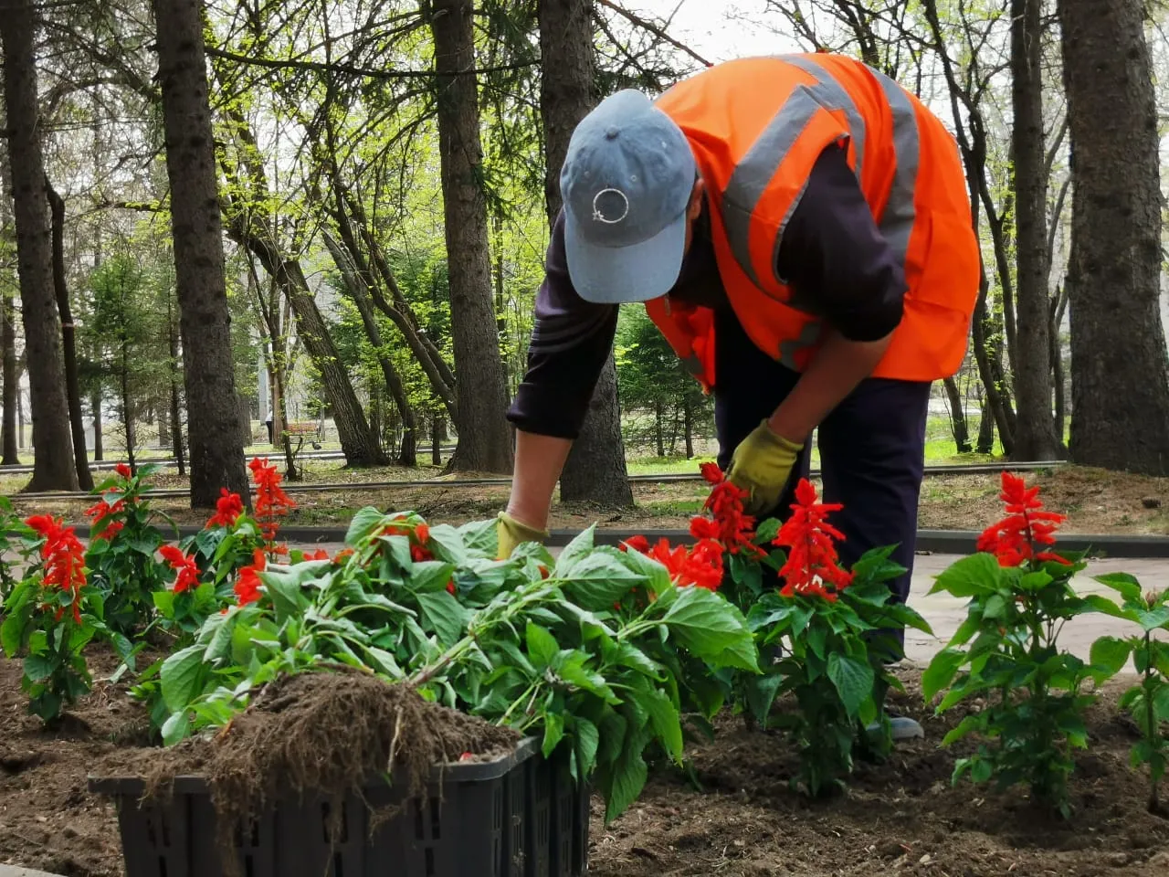 Жизнь в городе не остановилась, благоустройство продолжается - мэр Биробиджана