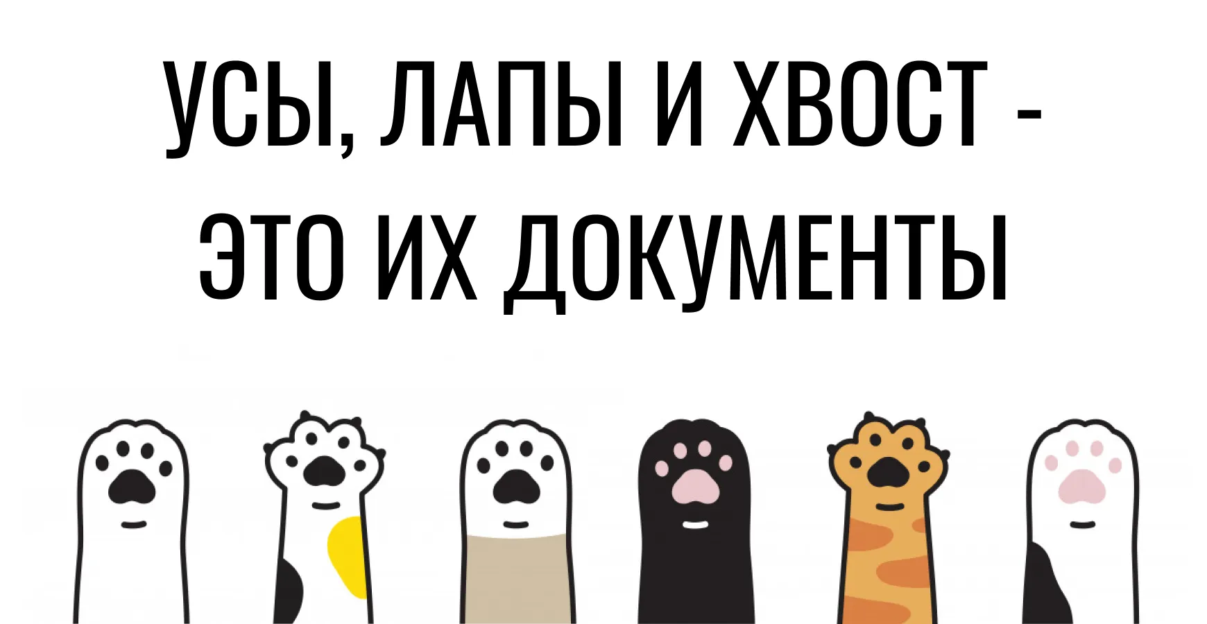 ТЕСТ: Как хорошо ты знаешь своего усатого друга?