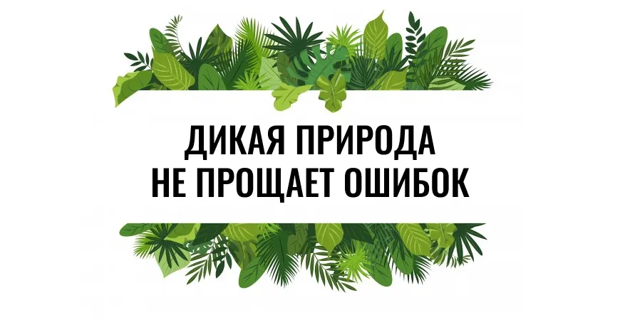 ТЕСТ: сможете ли вы выжить в дикой природе?