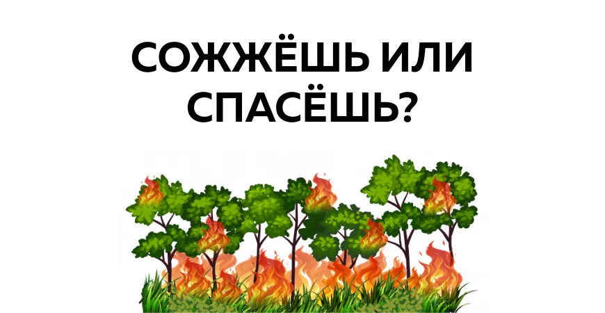 Сможешь ли ты уберечь лес от пожара? ТЕСТ