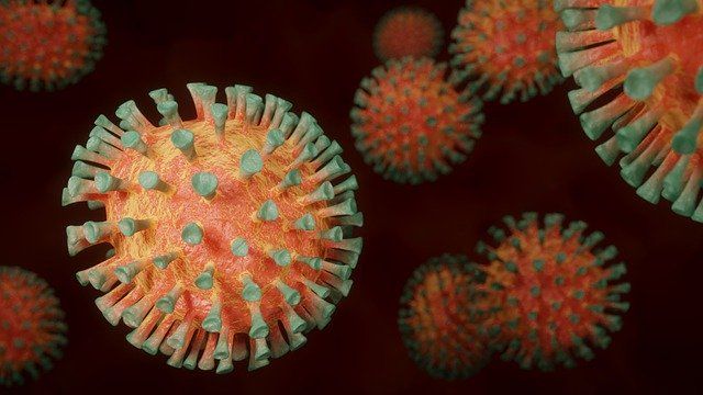 Стала известна свежая статистика заболеваемости COVID-19 в ЕАО