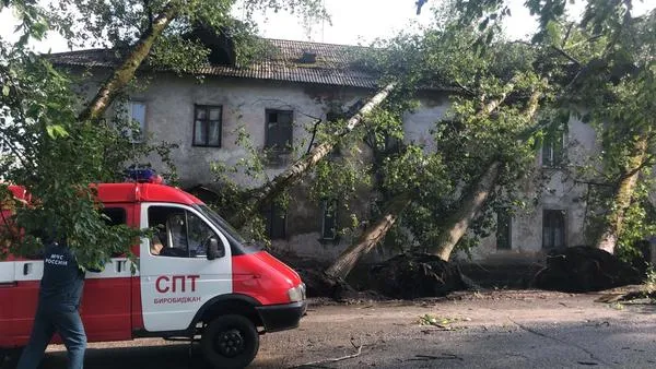 Повалены деревья, повреждены кровли домов: что происходит в п. Теплоозерск ЕАО?