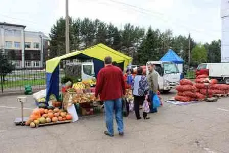 Бесплатно предоставят места фермерам на сельскохозяйственной ярмарке в Биробиджане