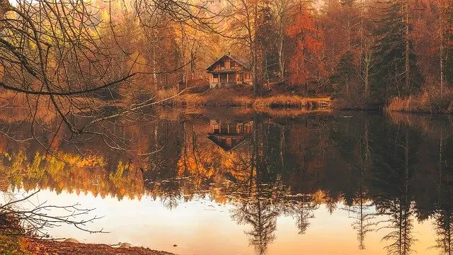 Погода в ЕАО на завтра