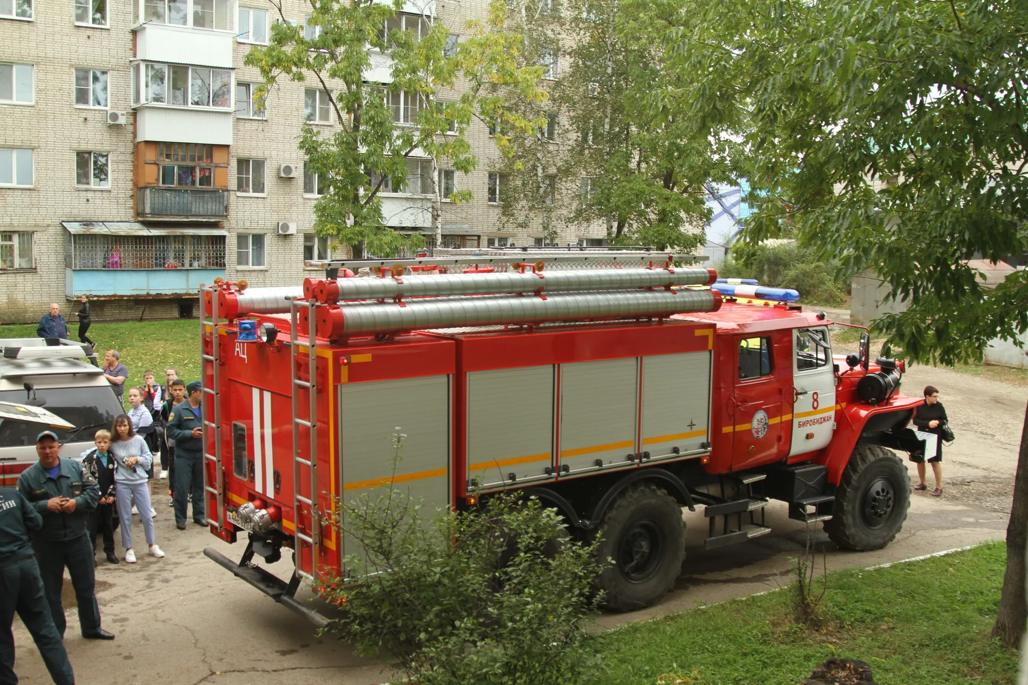 Повалы деревьев возможны завтра в ЕАО