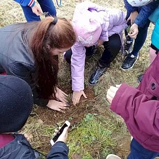 Каждое деревце - имя героя: школьники в ЕАО высадили кедры в память о Великой Отечественной войне