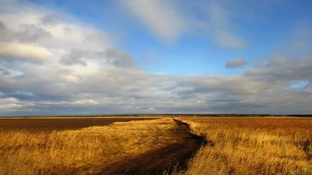 900 гектаров пашни не возделывается и зарастает сорняками в ЕАО