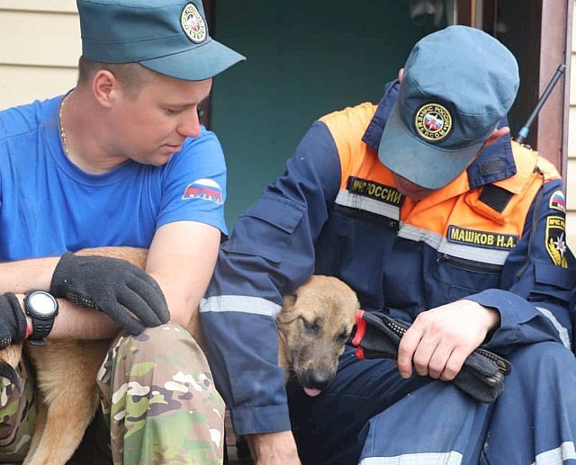 Спасённые из огня котики и пёсики живут в пожарных частях ЕАО
