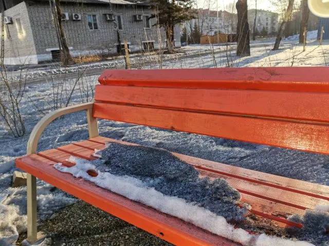 «Эта гадость в наших лёгких»: летающий по городу угольный пепел вводит в шок биробиджанцев