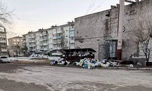 Мусорные контейнеры во дворе переполнены. Куда звонить в ЕАО?