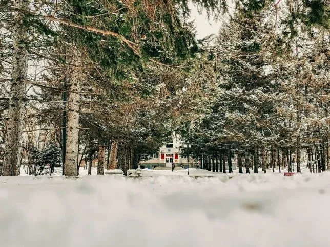 Снег снова настигнет ЕАО 19 февраля