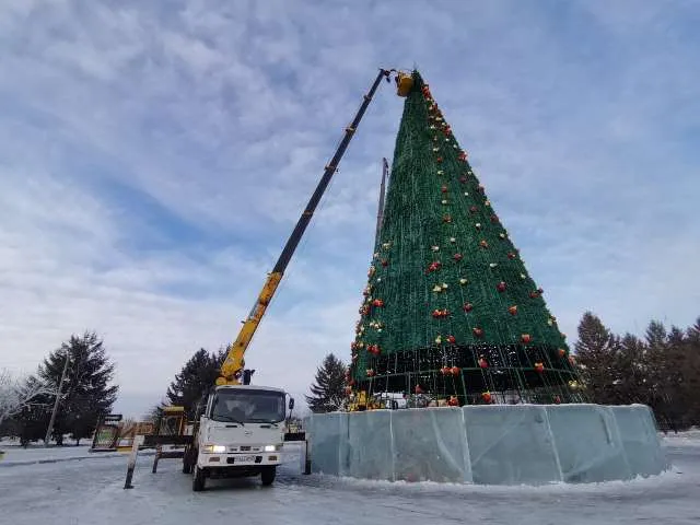 Когда уберут новогоднюю ель из центра Биробиджана, рассказал мэр города