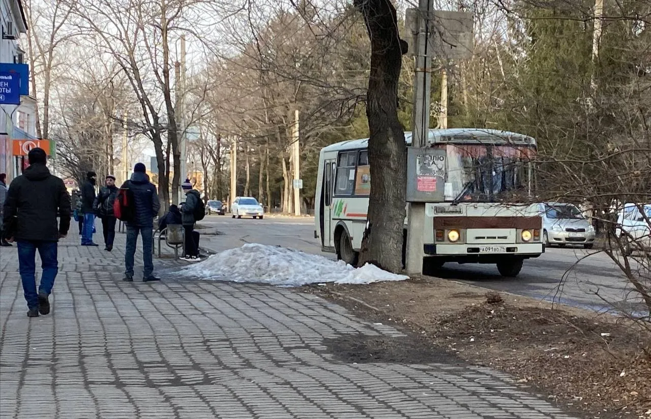 Наказывать кондукторов за высадку детей-безбилетников начнут в ЕАО