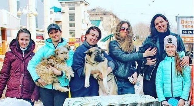 Помочь расплатиться с долгами и спасти невинную жизнь: Итог ярмарки животных в Биробиджане