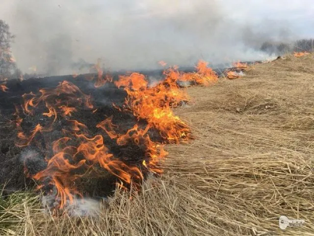 Огонь снова в опасной близости от жилых домов в ЕАО