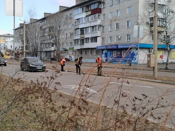 Без порубочного билета проводят обрезку деревьев сотрудники УК в Биробиджане