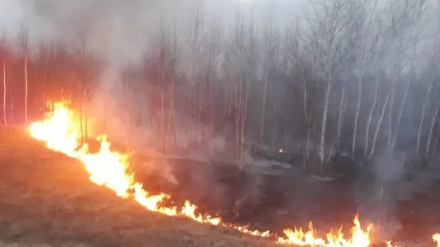 Огонь в опасной близости: 30 термоточек вблизи населенных пунктов зарегистрировано в ЕАО