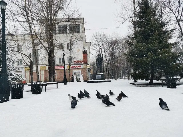 Сильный снег в Биробиджане и по области - прогноз погоды на 13 апреля