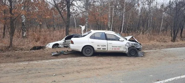 ВИДЕО: В сеть попали кадры страшного ДТП на трассе в ЕАО