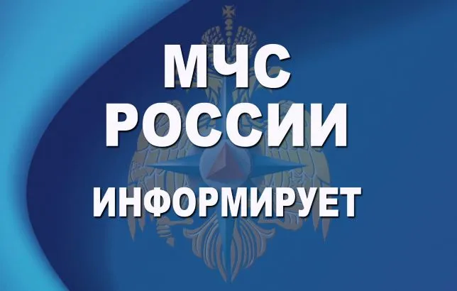 Ветер до 20 м/с ожидается на территории ЕАО 13 апреля