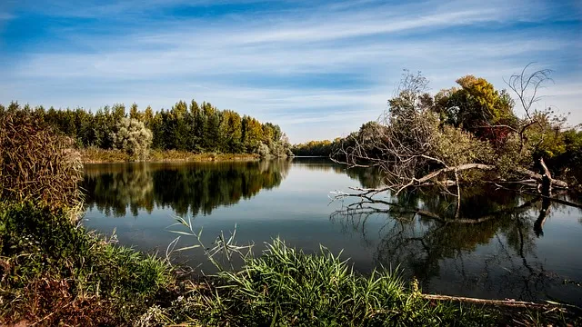 Тело мужчины нашли в одном из водоемов ЕАО