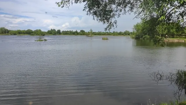 Труп молодого человека обнаружили в одном из водоемов Биробиджана