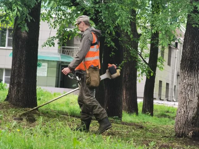 На этих улицах Биробиджана  наведут уборку сегодня, 21 июля