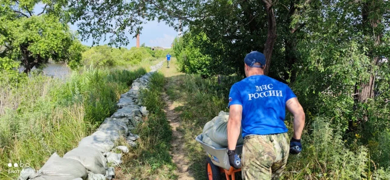 Дамбы советской постройки необходимо укреплять в Ленинском районе ЕАО - эксперт