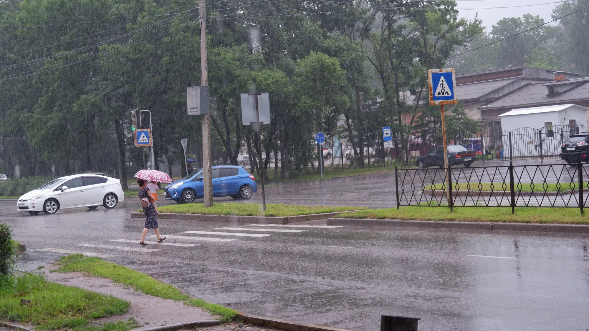 Ливни с сильным ветром до 12 м/с ожидаются в ЕАО 9 августа