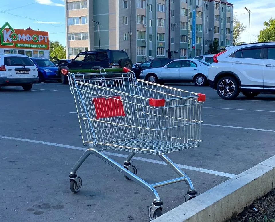 Женщин, пытавшихся ограбить супермаркет, задержали в Биробиджане