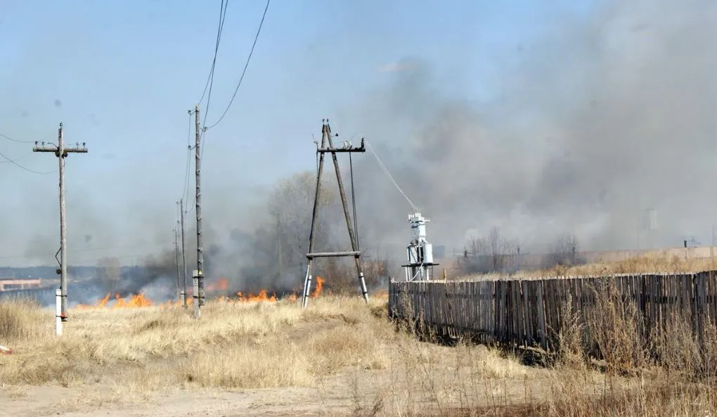 Поджёг траву и устроил пожар житель одного из районов ЕАО