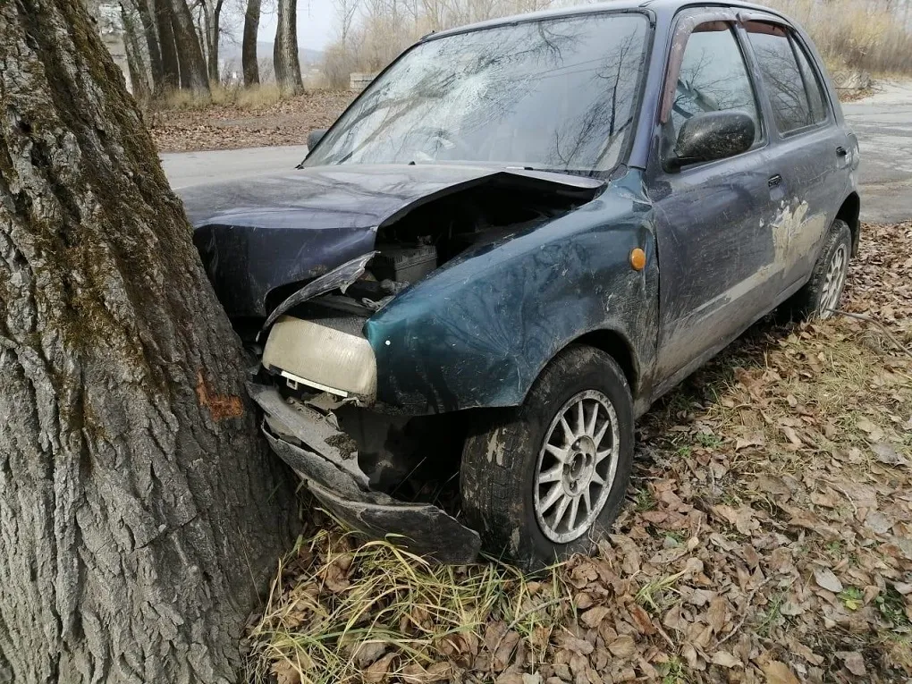 Не справился с управлением: новая авария с деревом случилась в ЕАО