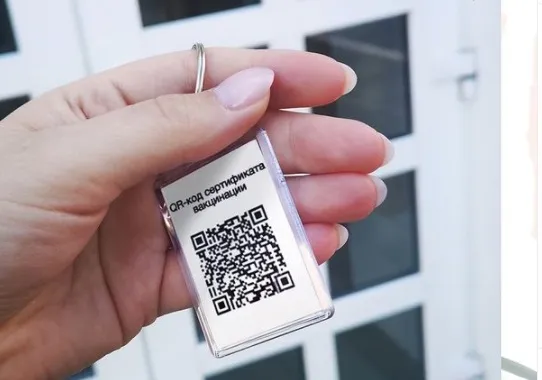 Бизнес на «ковидных» QR-кодах запустил биробиджанец