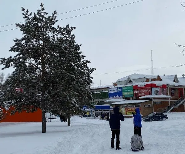 Снежный коллапс сплотил людей - биробиджанцы о непогоде