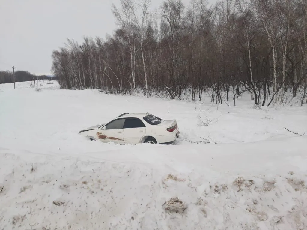 Угнали авто и попали на нём в ДТП двое молодых биробиджанцев