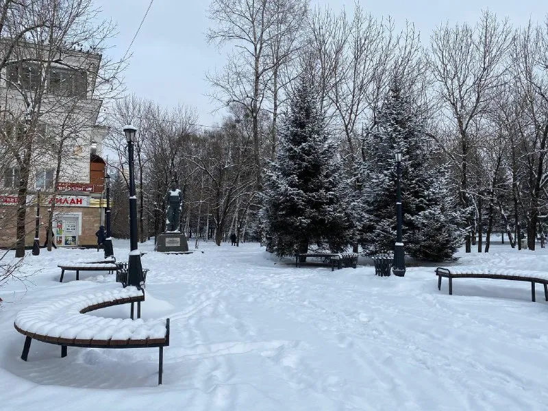 Низкую температуру воздуха обещают в некоторых районах ЕАО 27 января синоптики - прогноз погоды