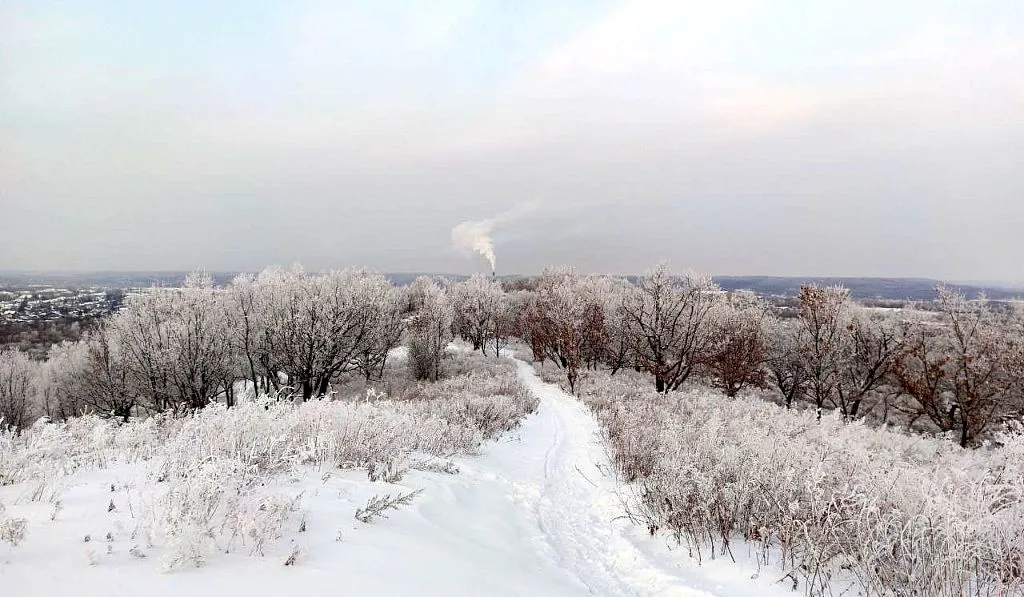 Мороз под -40° снова ожидается в ЕАО - прогноз погоды на 9 января