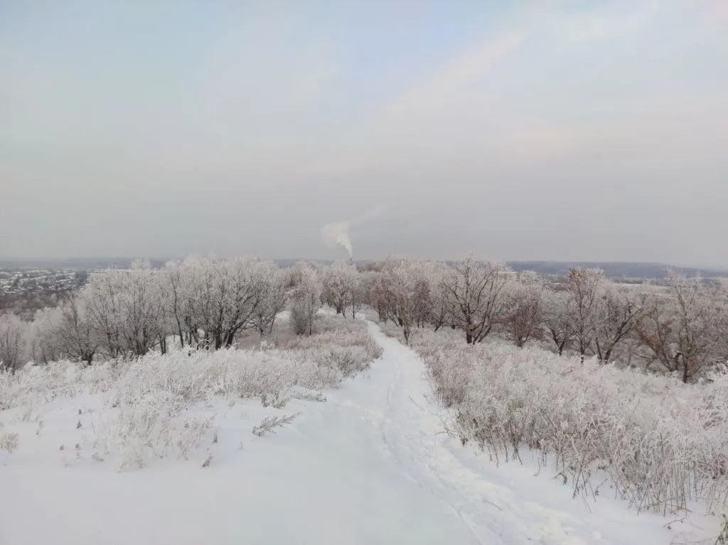 Не -40°, но тоже мороз ожидается в ЕАО – прогноз погоды на 10 января