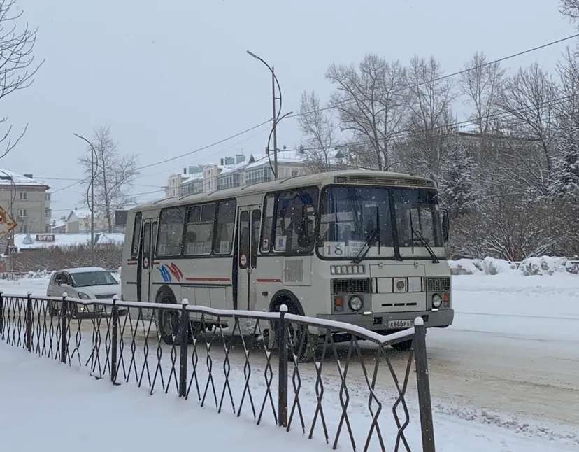 Автобусное сообщение возобновили в Ленинском районе ЕАО