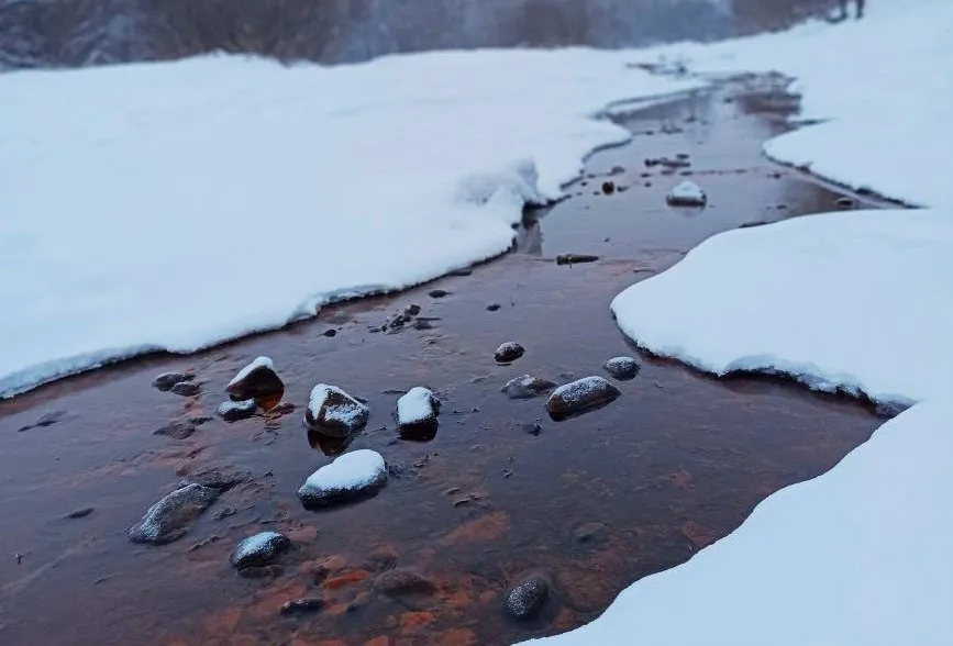 Нечаянно утопил сестру житель Хабаровского края