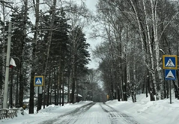 Снег не прекратится в ЕАО и 15 февраля - прогноз погоды на завтра