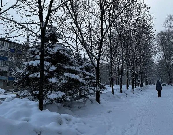 Переменная облачность и -8°С: прогноз погоды на 17 февраля в ЕАО