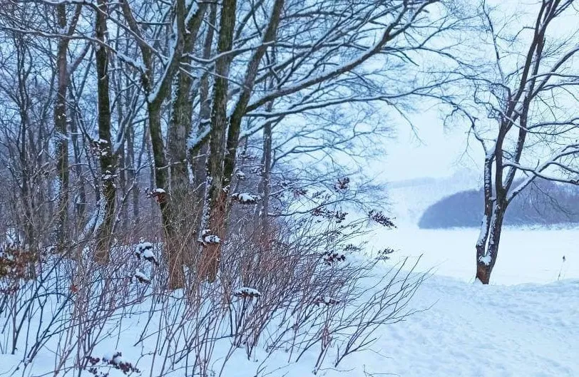 Снег ожидается только в одном районе ЕАО - прогноз погоды на 16 февраля